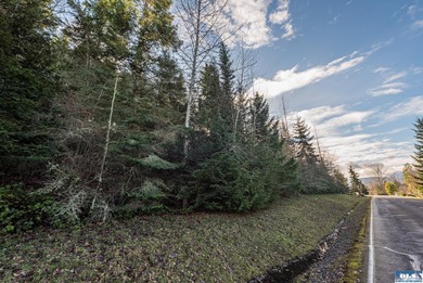 Water view parcel on the uphill side of Owl's Nest Rd. on Bell - photo 30
