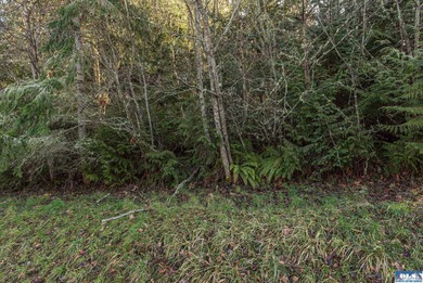 Water view parcel on the uphill side of Owl's Nest Rd. on Bell - photo 33