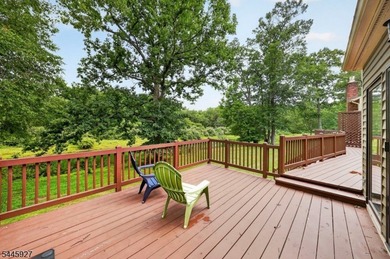 THIS ONE IS A STUNNER! OVER $200,000 in Renovations/Upgrades! - photo 34