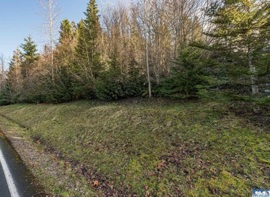 Water view parcel on the uphill side of Owl's Nest Rd. on Bell - photo 34
