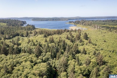 Wake up to mist drifting over Lake Ozette. Eagles overhead - photo 10