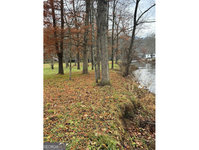 (private lake, pond, coastal) Lot For Sale in Franklin North Carolina