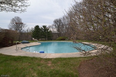 THIS ONE IS A STUNNER! OVER $200,000 in Renovations/Upgrades! - photo 44