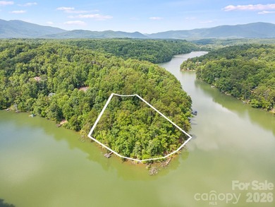 Lot 40 on Canoe Drive is arguably the most desirable lot on Lake - photo 3