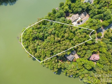 Lot 40 on Canoe Drive is arguably the most desirable lot on Lake - photo 4