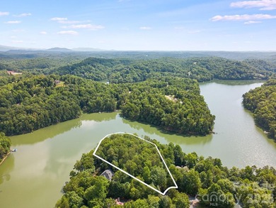 Lot 40 on Canoe Drive is arguably the most desirable lot on Lake - photo 5
