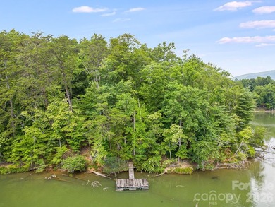 Lot 40 on Canoe Drive is arguably the most desirable lot on Lake - photo 8