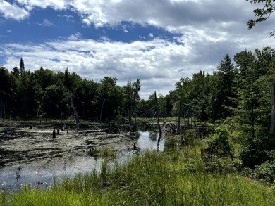 Lake Lot For Sale in Lewis, New York