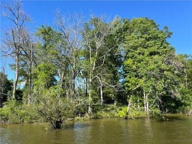 Lake Lot For Sale in Jonesville, Louisiana