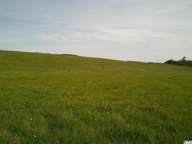 Beautiful mountainview at end of a dead end road for privacy and - photo 2