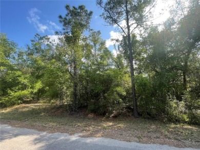 Lake Lot For Sale in Ocklawaha, Florida