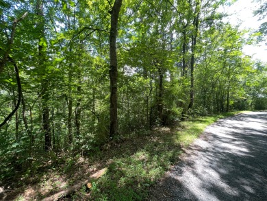 Lake Lot For Sale in Newport, Tennessee