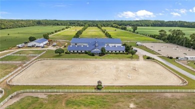 Lake Home For Sale in Chesapeake, Virginia