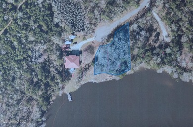 Just North of the Promenade! Entire property has been cleared - photo 2