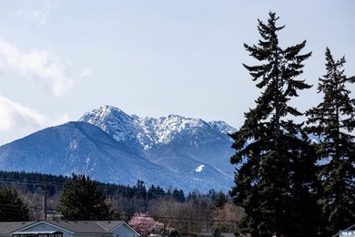 Enjoy the mountain views from this easy-living 2015 single-wide - photo 7