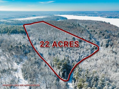 22AC + 2 Lake Access - Lake Acreage For Sale in Phelps, Wisconsin