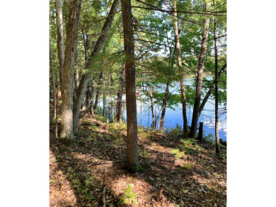 Arbutus Lake - Oneida County Lot For Sale in Eagle  River Wisconsin