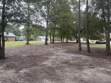 Lake Lot For Sale in Manning, South Carolina