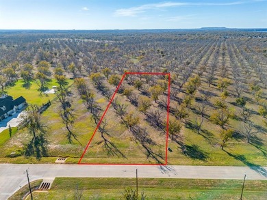 Lake Granbury Lot For Sale in Granbury Texas