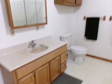 Looking for a great home, with view of the Chippewa river and - photo 7