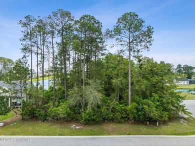 1871 Isles of St. Marys Way presents a rare opportunity to build - photo 9