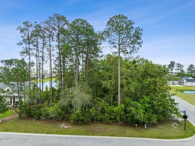 1871 Isles of St. Marys Way presents a rare opportunity to build - photo 10