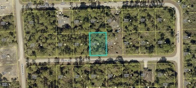 Lehigh Acres Area Lot For Sale in Lehigh Acres Florida