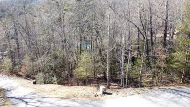 Lake Lot For Sale in Cashiers, North Carolina