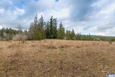 Discover 6.65 acres of opportunity near Sequim with mountain - photo 1