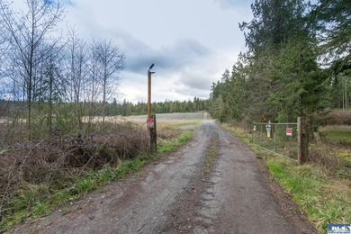 Discover 6.65 acres of opportunity near Sequim with mountain - photo 3