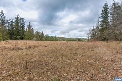 Discover 6.65 acres of opportunity near Sequim with mountain - photo 4