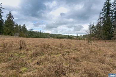 Discover 6.65 acres of opportunity near Sequim with mountain - photo 5