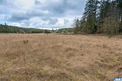Discover 6.65 acres of opportunity near Sequim with mountain - photo 6