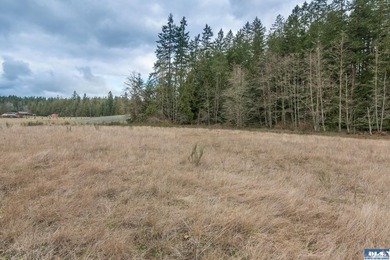 Discover 6.65 acres of opportunity near Sequim with mountain - photo 7