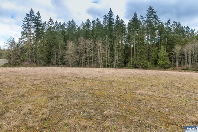 Discover 6.65 acres of opportunity near Sequim with mountain - photo 8