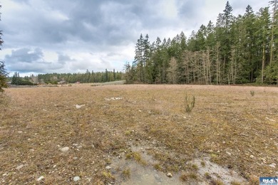 Discover 6.65 acres of opportunity near Sequim with mountain - photo 9
