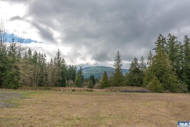Discover 6.65 acres of opportunity near Sequim with mountain - photo 10