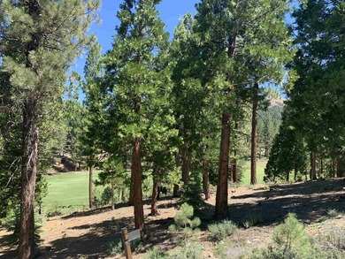 Beautifully treed, downsloping .52 acre homesite with sweeping - photo 1
