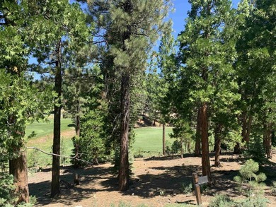 Beautifully treed, downsloping .52 acre homesite with sweeping - photo 2
