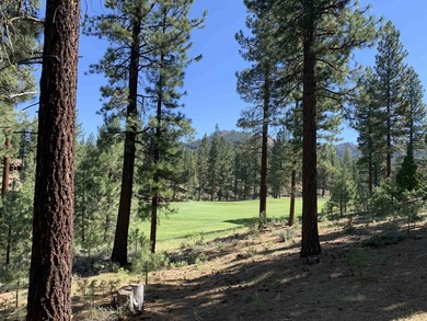 Beautifully treed, downsloping .52 acre homesite with sweeping - photo 3