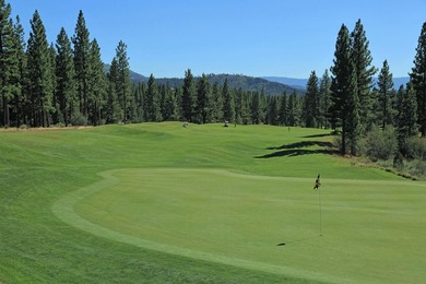 Beautifully treed, downsloping .52 acre homesite with sweeping - photo 6
