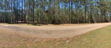 You Can SPRING For This Priced Lot! - Lake Lot For Sale in Pachuta, Mississippi