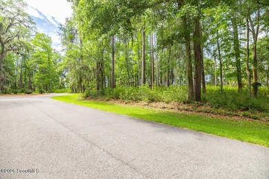 Lot 107 Riverpoint Lane is a Gorgeous Deep Water Homesite at - photo 7