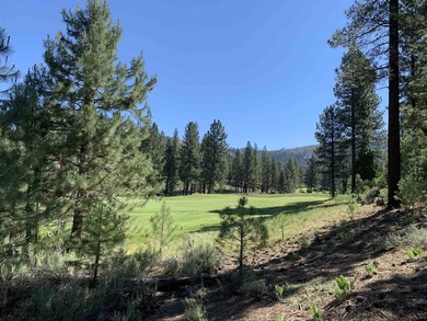 Beautifully treed, downsloping .41 acre homesite with stunning - photo 1