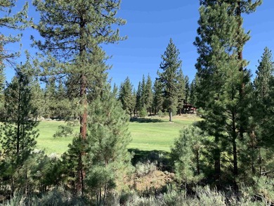 Beautifully treed, downsloping .41 acre homesite with stunning - photo 2