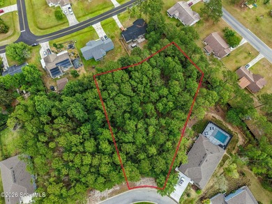 Build your dream home on this beautiful 0.7-acre wooded homesite - photo 3