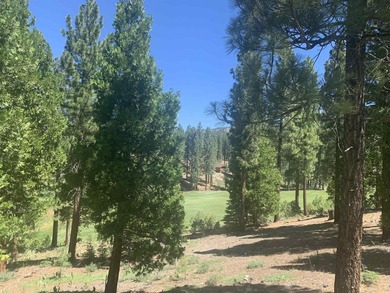Beautifully treed, downsloping .41 acre homesite with stunning - photo 3