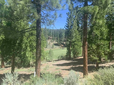 Beautifully treed, downsloping .41 acre homesite with stunning - photo 4