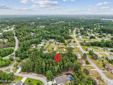Build your dream home on this beautiful 0.7-acre wooded homesite - photo 6