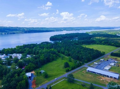 Developer's Dream - 33.10 Unrestricted Acres on Lake - photo 6